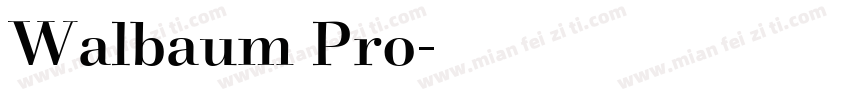 Walbaum Pro字体转换